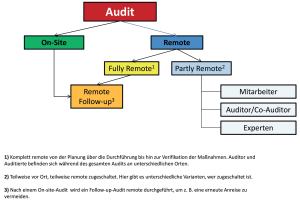 Remote Audits GxP – Notlösung oder echte Alternative?
